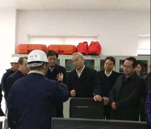 浙江省丽水市市长吴晓东前往浙江雷火竞技app能源开发有限公司考察调研