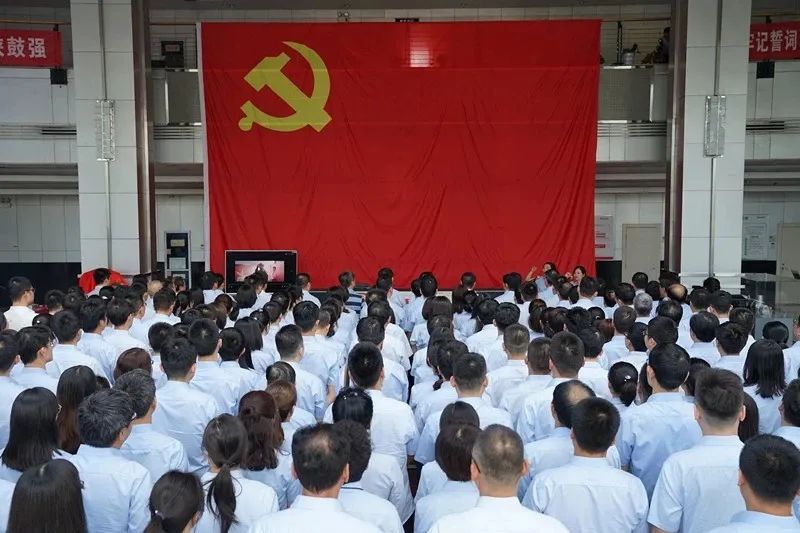 “党旗红·雷火竞技app强”雷火竞技app党建“123456”模式荣获全市组织工作改革创新优秀成果奖